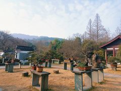 -杭州植物园