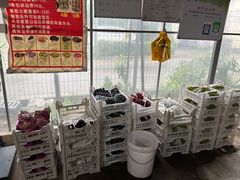 -马陆小张葡萄园农家乐