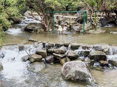 -广东天露山旅游度假区