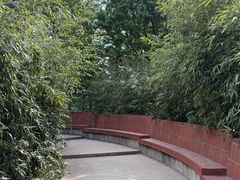 -泰丰公园
