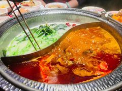 -牛New寿喜烧(虹桥新天地店)