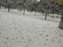 -长安大学(北校区)