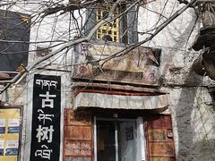门面-古树酸奶(八廓南街店)