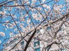 -昆山城市公园