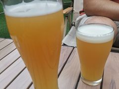 一诺千金-麦落精酿啤酒餐吧(先农大院店)
