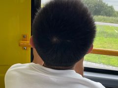 -黑瞎子岛探秘野熊园
