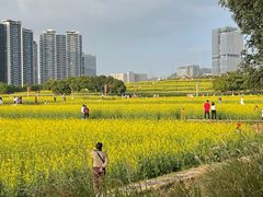 -光明小镇欢乐田园