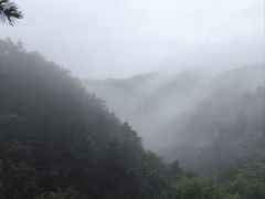 -庐山风景区花径公园