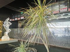 -君庭中餐馆(湘江豪生店)