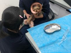 -萌兽医馆·绝育·24小时内科·宠物医院(德胜店)