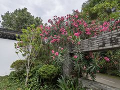 -深圳国际园林花卉博览园