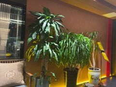 -隐炉和牛烧肉店(群力店)