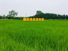 -迪茵湖田家舍生态农场