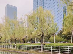 -天鹅湖体育公园