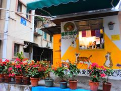 -猫咪博物馆(顶澳仔猫街店)