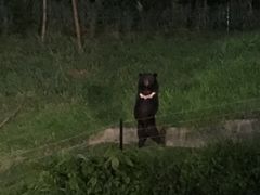 -清迈夜间动物园