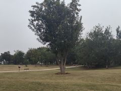 -盘龙城遗址博物院