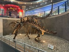 -国家自然博物馆