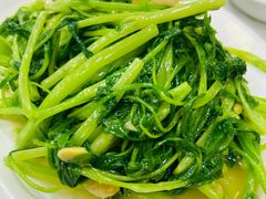 -老明馨潮汕大排档