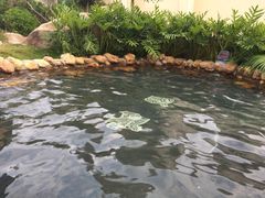 -惠州金海湾嘉华度假酒店