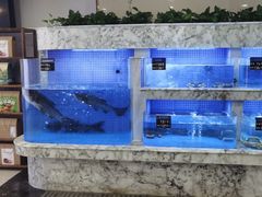 水产区-香山湖渔家大院