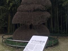 -苏州河梦清园环保主题公园