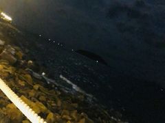-越海渔村