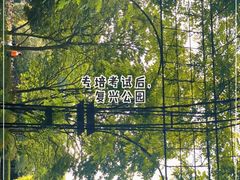 -复兴公园