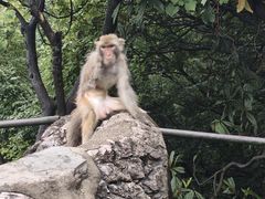 -黔灵山公园