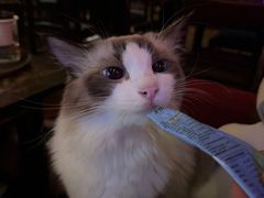 -南京天堂隔壁酒吧