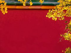 -故宫博物院(故宫)