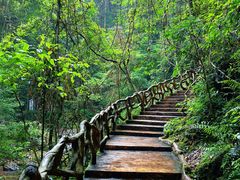 -江西阳明山国家森林公园