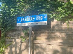 -日照海滨国家森林公园