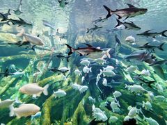 -波塞冬旅游度假区