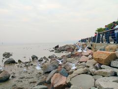 -深圳湾公园(南山区)
