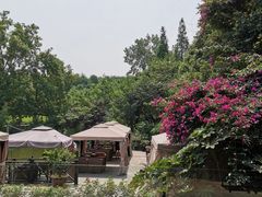 -茅庐·川粤精品私房菜(金沙遗址店)