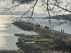 -青岛第二海水浴场