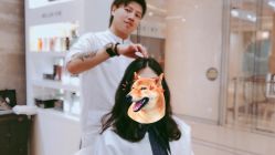 中发-PIONEER·韩式