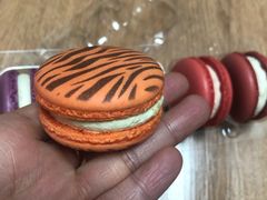 -麦当劳(城西银泰店)