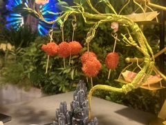 -故里和山·成都火锅(欢乐港湾店)