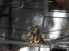 -昆明动物园