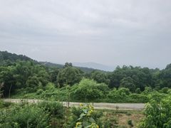 -金水泊山庄·花椒鸡(铁山坪店)