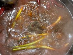 -石灰市毛记烧鸡公(解放碑店)