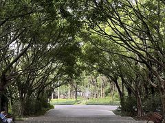 -深圳国际园林花卉博览园