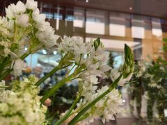 -二酉书店TOYOU BOOKS