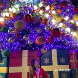 圣诞节不知道去哪过?就去澳门威尼斯和永利皇宫