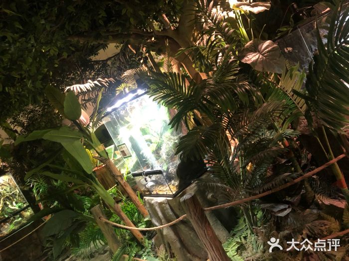 潘多拉萌宠乐园(金博大店)-图片-郑州景点/周边游-大众点评网