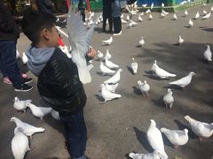 -青城公园