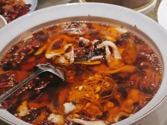 -宏宴·新京菜(望京店)