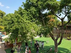 -柠檬花院烤肉·会议团建·聚会·求婚(三圣乡店)